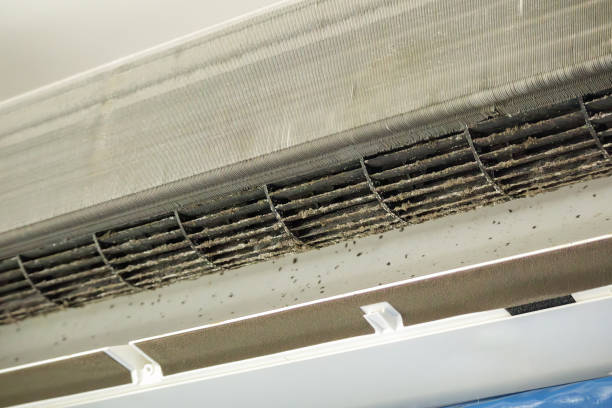 Best Dryer Vent Cleaning Services  in Monroe, UT